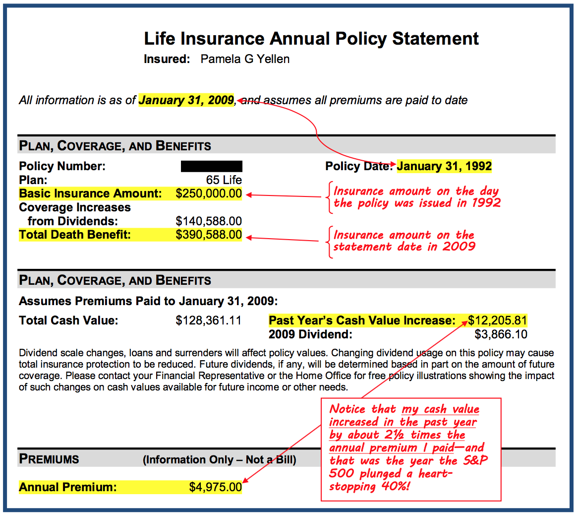 Life insurance annual policy statement